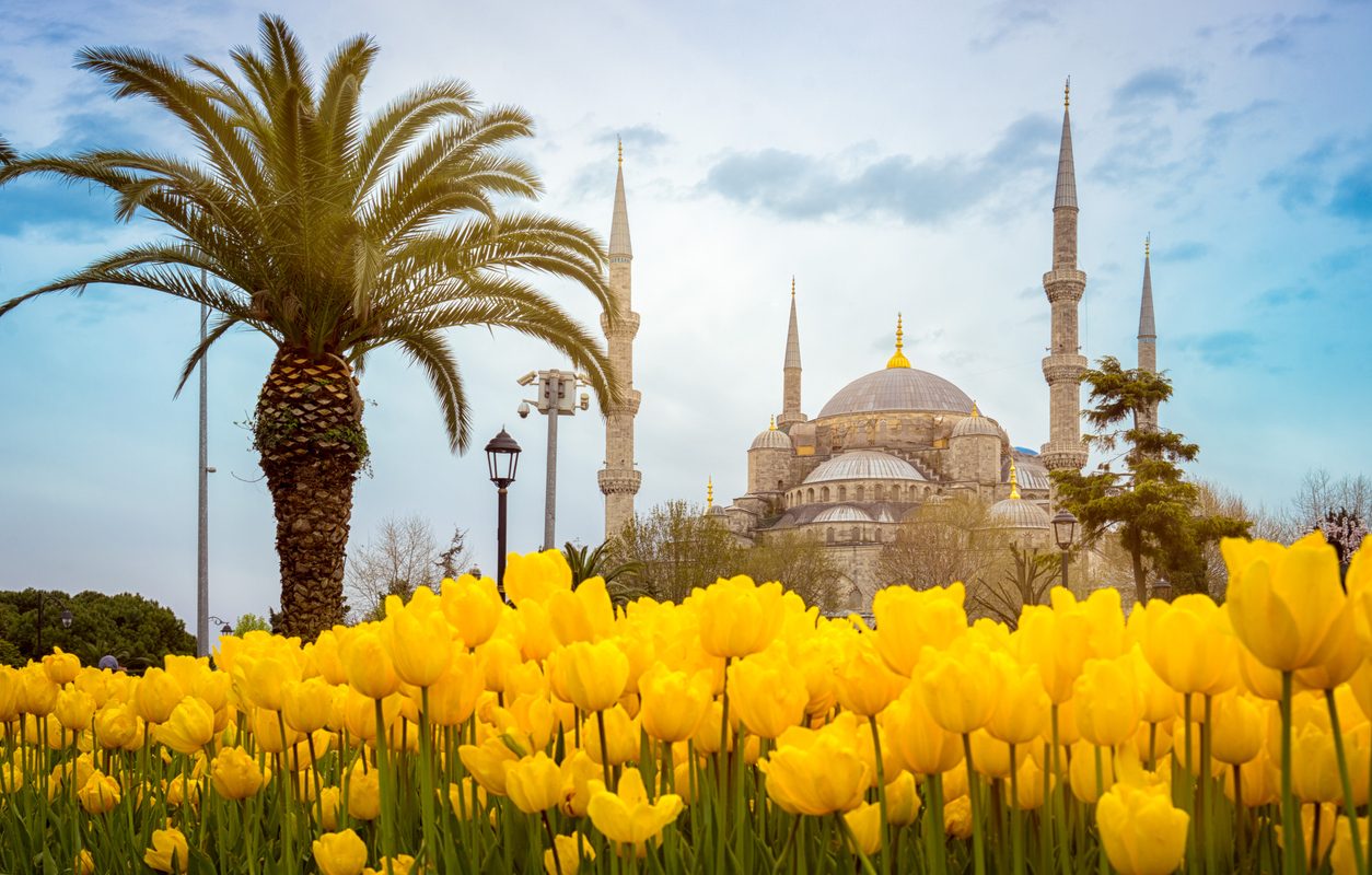 Bunga Nasional Turki