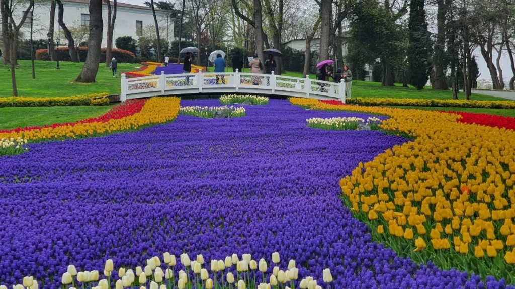Kebahagiaan Musim Semi di Istanbul Dengan Festival Tulip