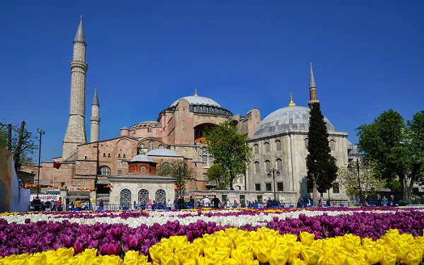 Kecantikan Alam, Jenis-Jenis Bunga yang Menghiasi Turki
