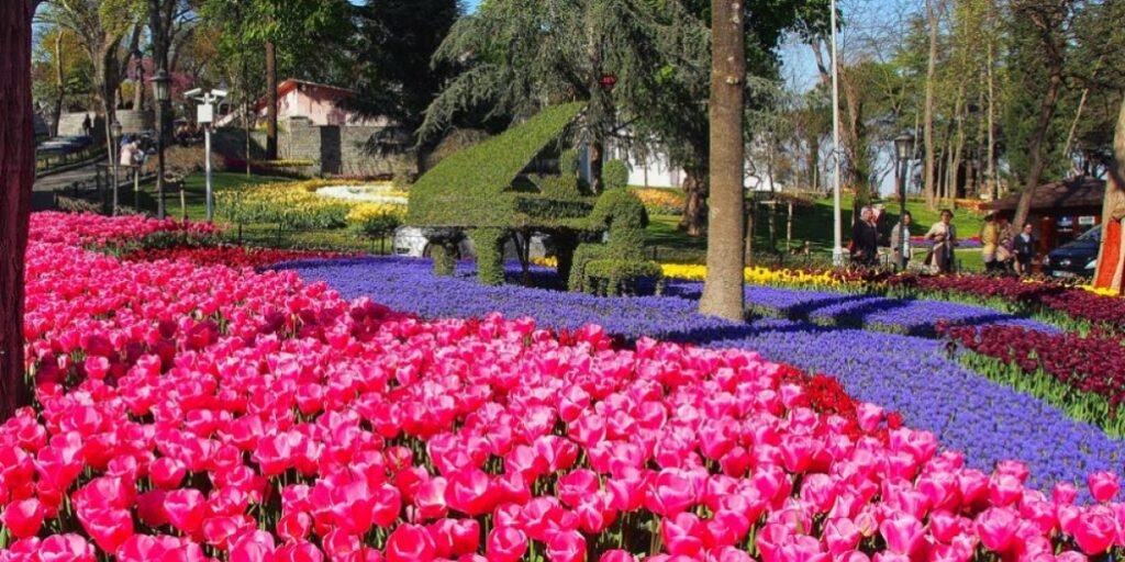 Keindahan Bunga Tulip yang Memikat di Taman Tulip Emirgan