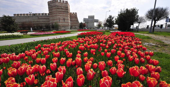 Keindahan Taman Bunga Soganli Bitkiler Parki di Turki