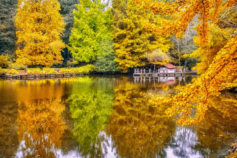 Menikmati Kecantikan Alam di Taman Bunga Ataturk Arboretum