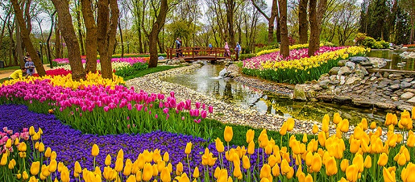 Musim Semi, Jadwal Festival Bunga di Turki Tahun 2024