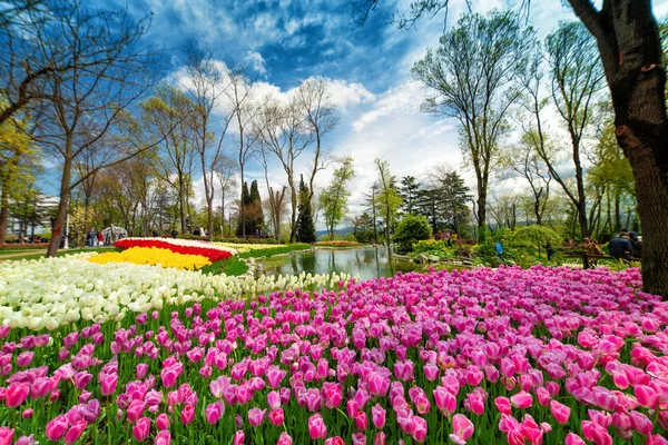 Pesona Festival Bunga Safran di Turki, Keajaiban Musim Gugur